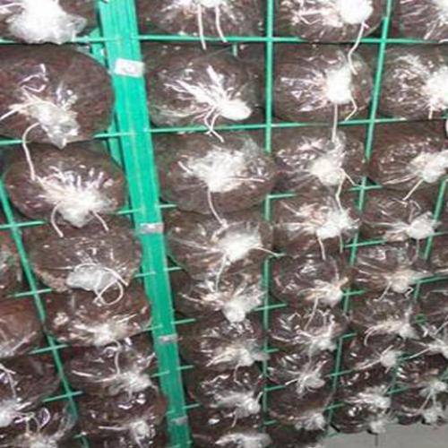 Farm Netting