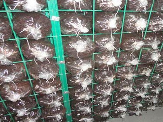 Farm Netting