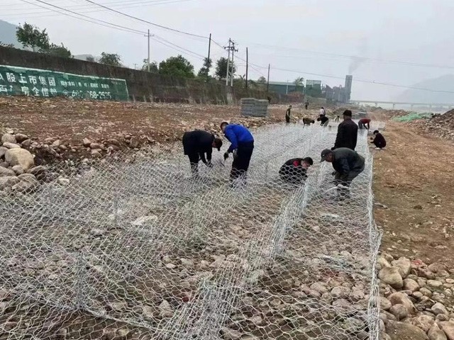 Gabion Net