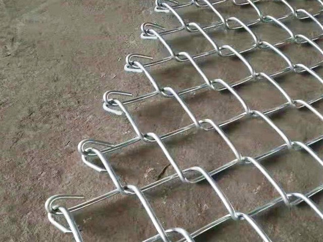 Galvanized chain link fence