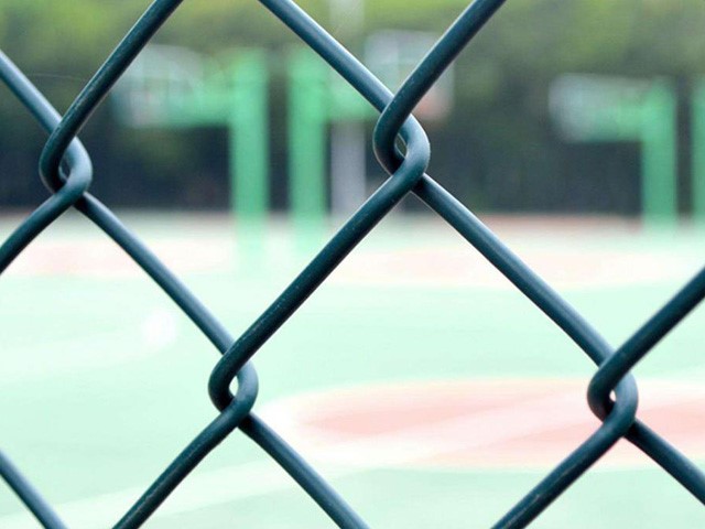 PVC coated chain link mesh