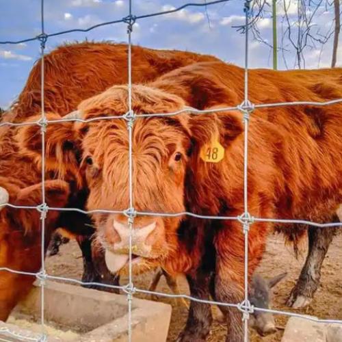 breeding protection net