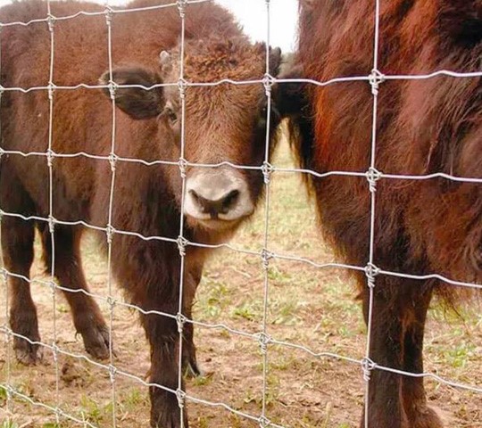 breeding protection net