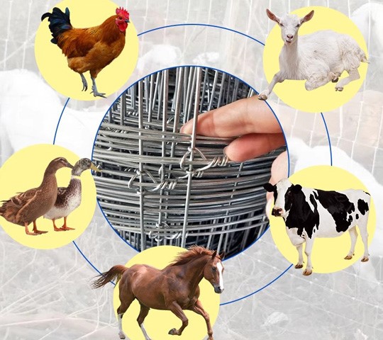 cattle fence