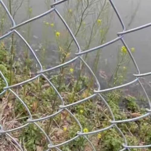 chain link fence