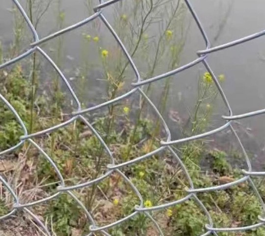 chain link fence