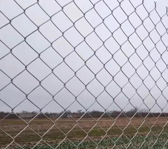 chain link fence