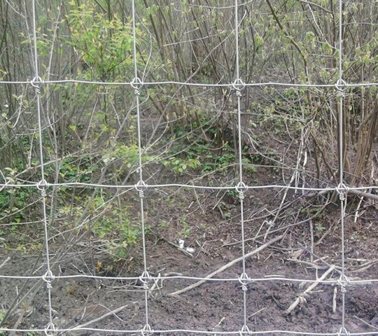 deer netting