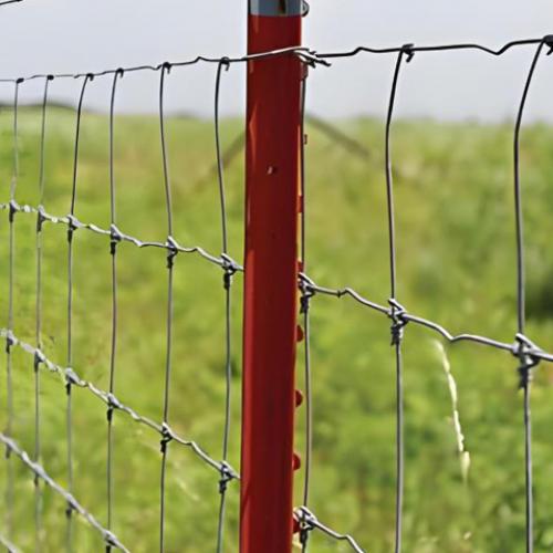 grassland fence