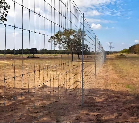 grassland fence